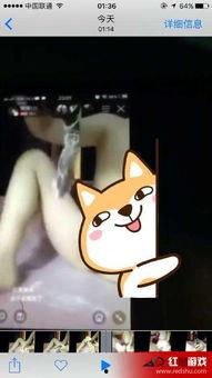 黄鳝女主播网址