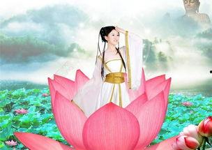 莲花仙子图片,翩翩仙姿，绽放自然之韵