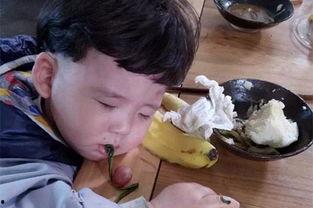 网红丑萌鸡,萌态可掬俘获无数粉丝心