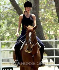 中国明星半马,风采竞技展实力