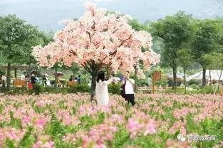 春暖花开娱乐群,欢乐时光，畅享无限