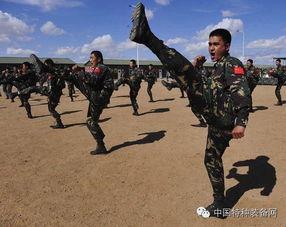 部队战术背景曲