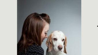 牵狗的图片,捕捉人与宠物和谐共处的温馨瞬间